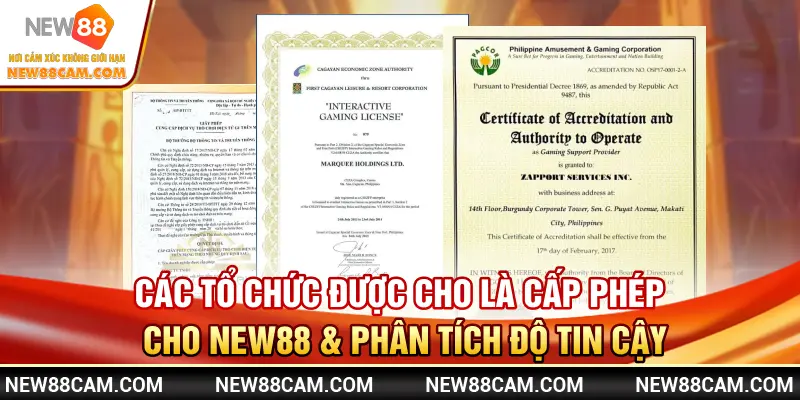 Các tổ chức được cho là cấp giấy phép New88 & phân tích độ tin cậy Các tổ chức được cho là cấp giấy phép New88 & phân tích độ tin cậy