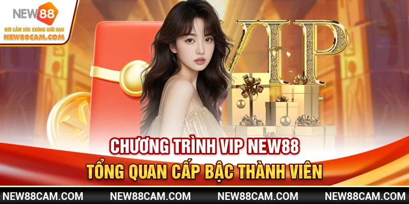 Chương trình VIP New88